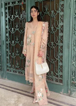 Anaam Chaudhry