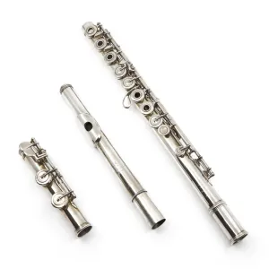 Bonneville #3885 - Silver plated flute, inline G, C footjoint