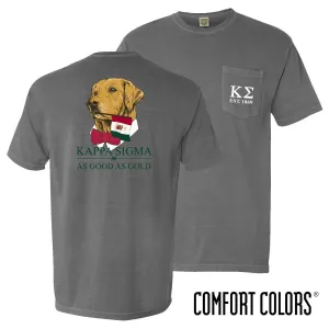 Kappa Sig Retriever Flag Tee